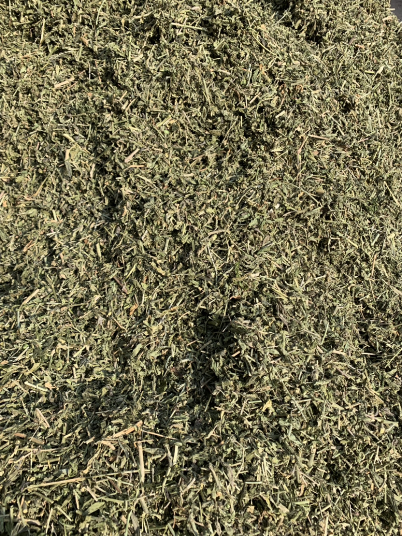 【透骨草】透骨草净货产地直供量大从优物美价廉
