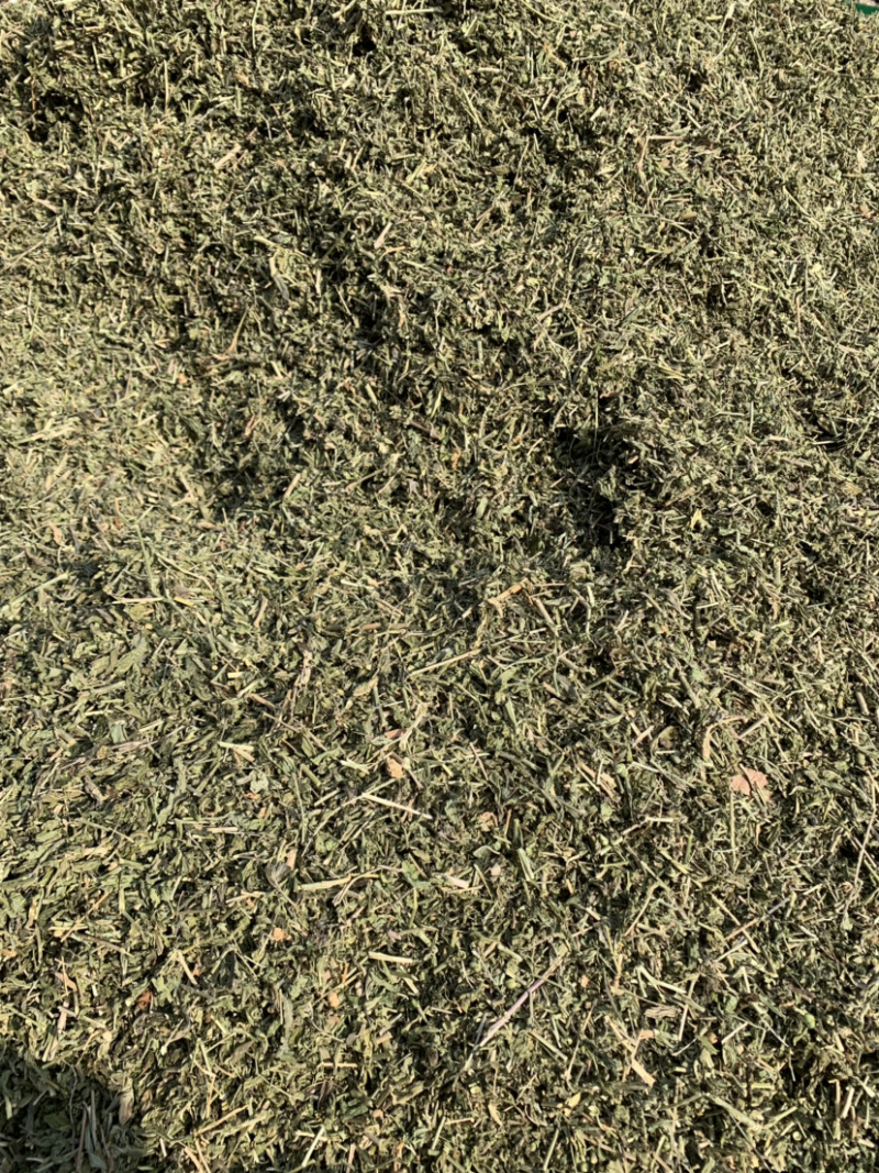 【透骨草】透骨草净货产地直供量大从优物美价廉