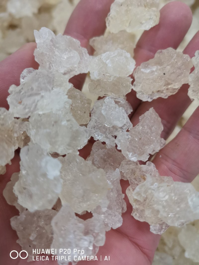 雪燕