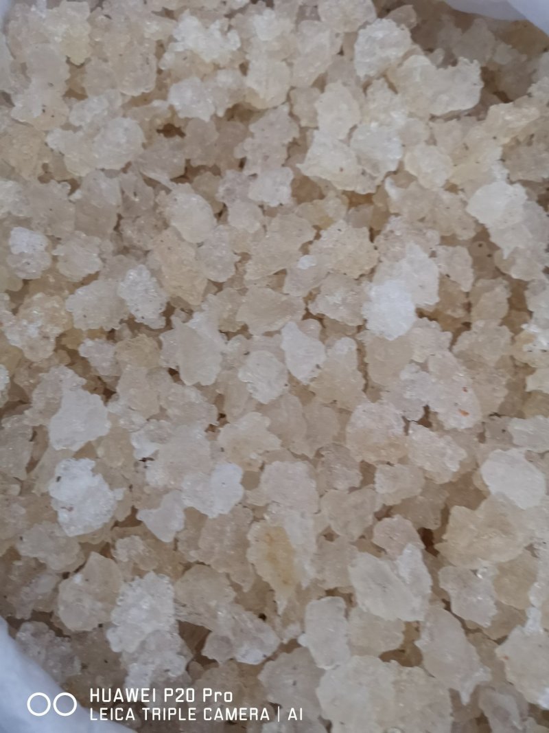 雪燕