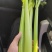 西芹便宜