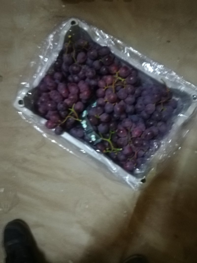 辽宁冷库水果