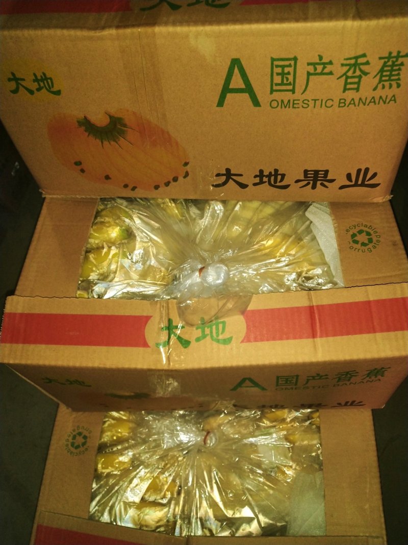 云南精品香蕉
