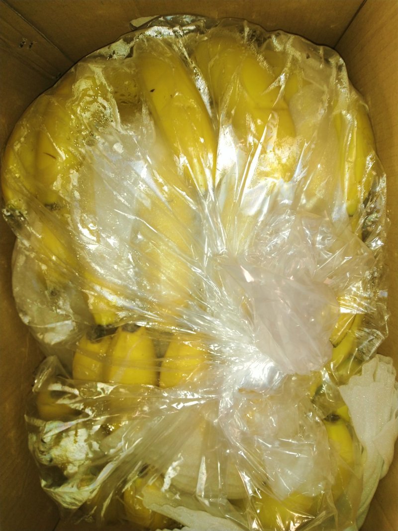 云南精品香蕉