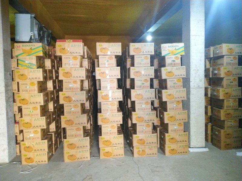 云南精品香蕉