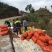 冰糖橙小果大量供应产地直供一手货源诚信专业代办