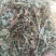 常年加工花生秧牛羊草料