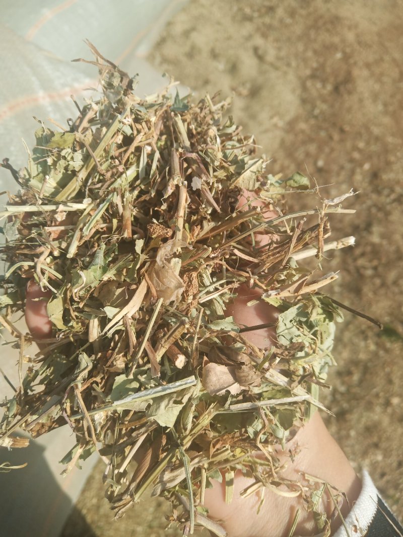 常年加工花生秧牛羊草料