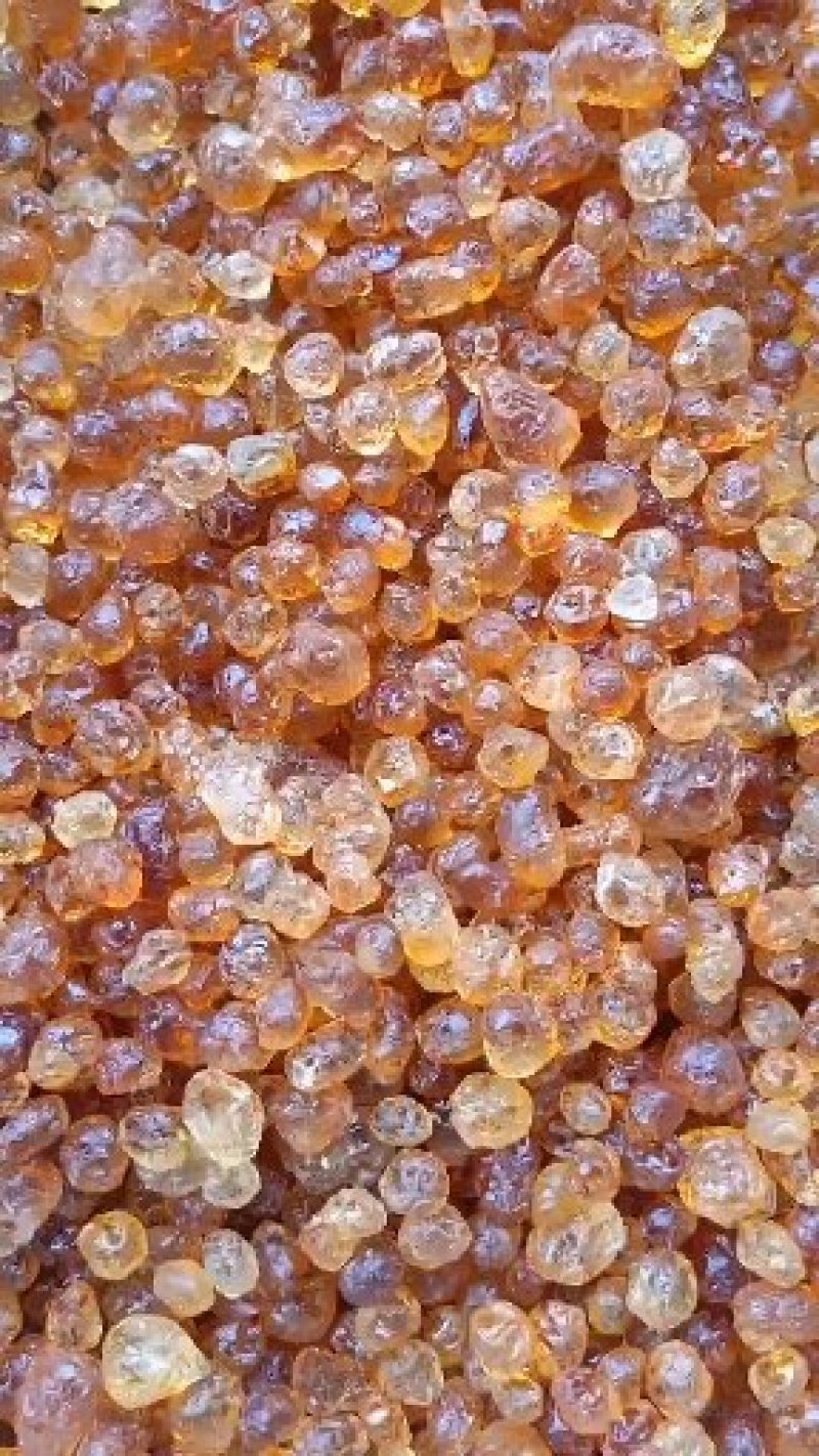 湖北桃胶，雪燕，规格齐全，产地直发，包正品质一手货源量大