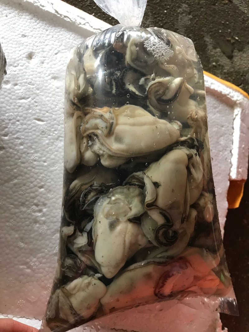 生蚝肉蚝厂直销鲜货现开现卖，有大中小三种规格
