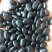 2023小黑豆黄仁豆肾型豆小粒扁粒8斤起批一件代发散货