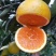 秭归九月红脐橙果冻橙诚信代办