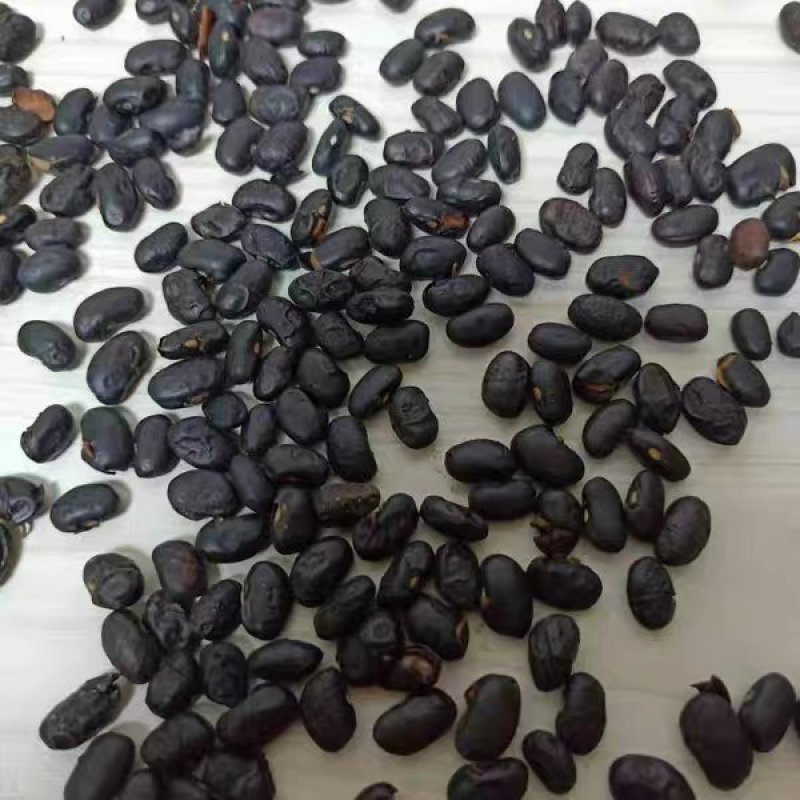 中药材无盐淡豆豉农家货11111农副土特产品