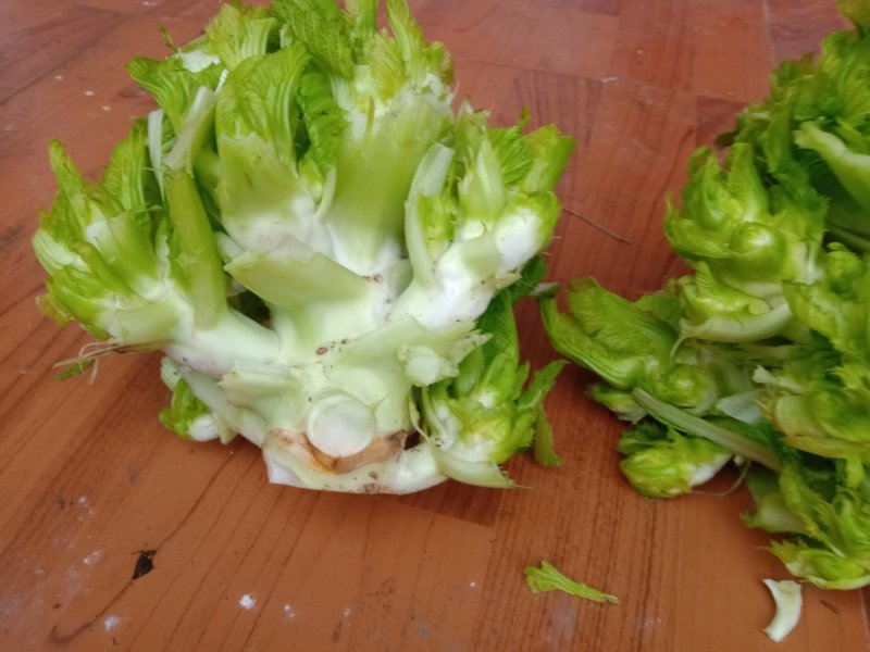 早熟儿菜
