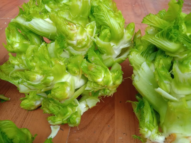早熟儿菜