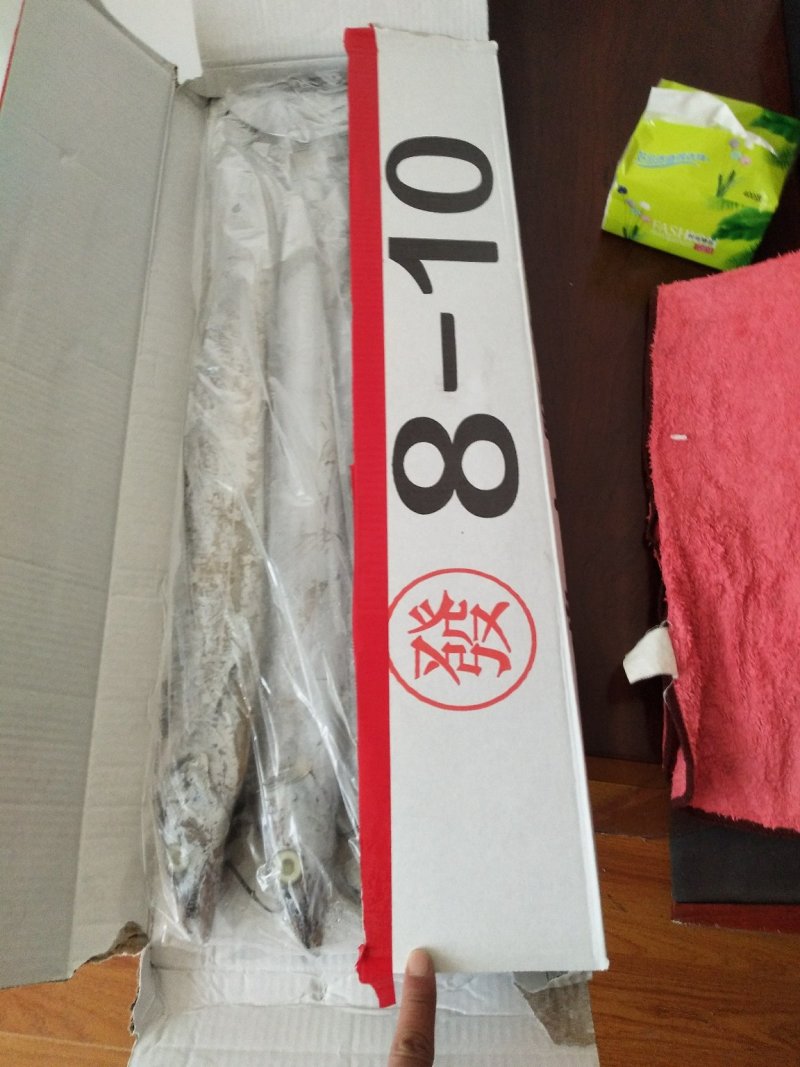 舟山精品带鱼