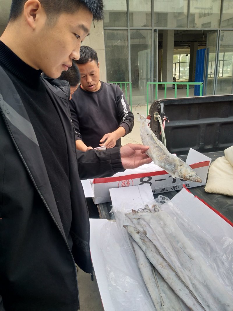 舟山精品带鱼
