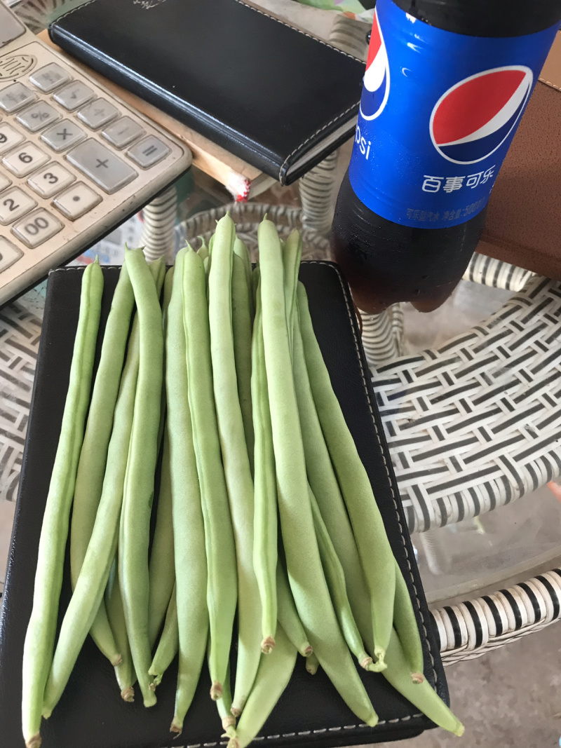 精品小金豆（四季豆）诚信报价，产地直发