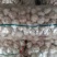 大蒜2021金乡精品大蒜自己的冷库常年供货，量大价优