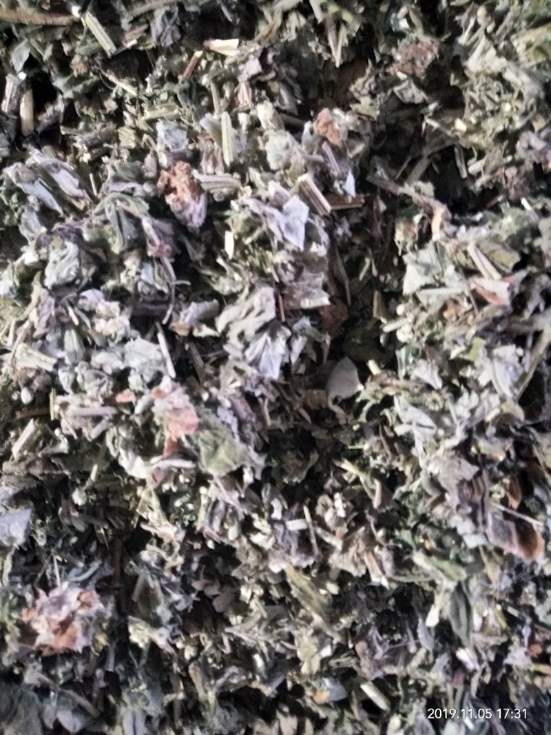 艾草