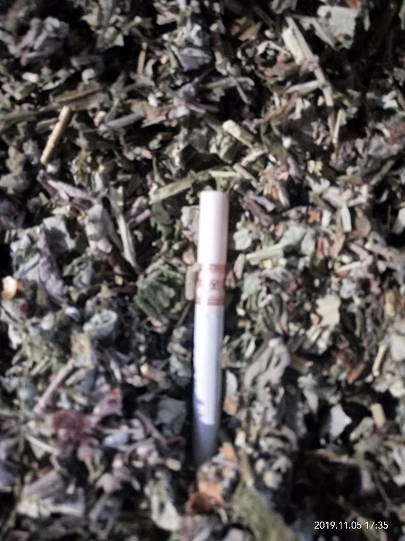 艾草切片