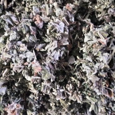 艾草切片