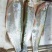 鄱阳湖野生鱼