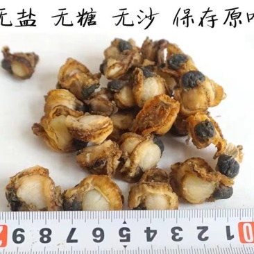 扇贝肉干500g淡干无盐糖全贝干全贝肉瑶柱带裙边珍珠贝
