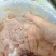 鱼肉陷