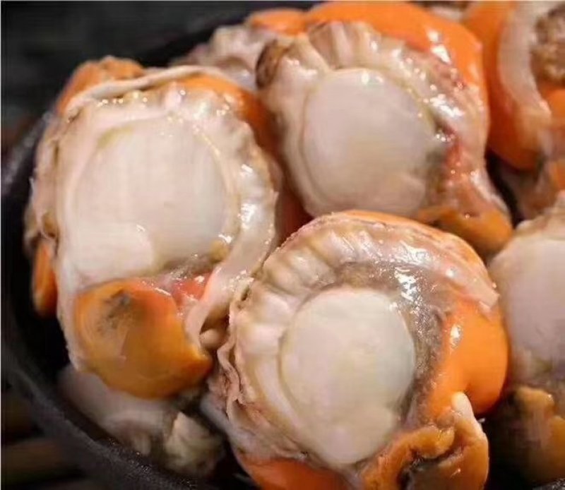 扇贝肉