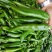 【荐】新鲜青椒牛角椒羊角椒现采现发，尖椒产地诚信代收代办