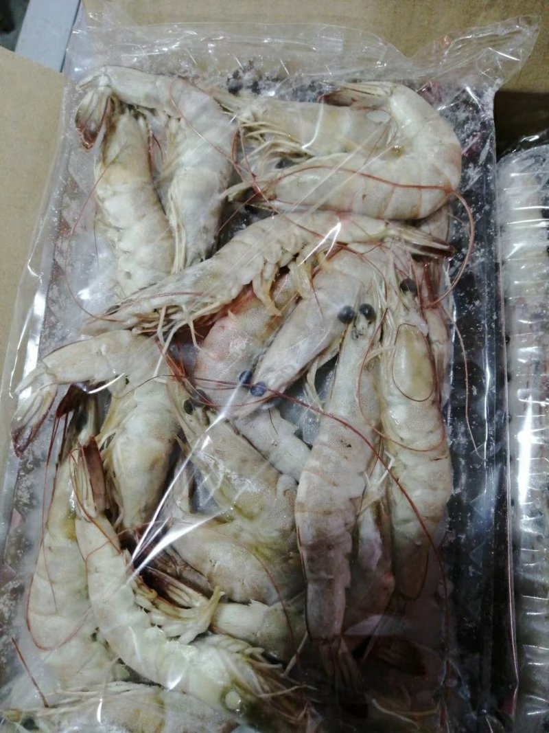 南美白对虾