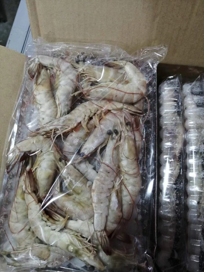 南美白对虾