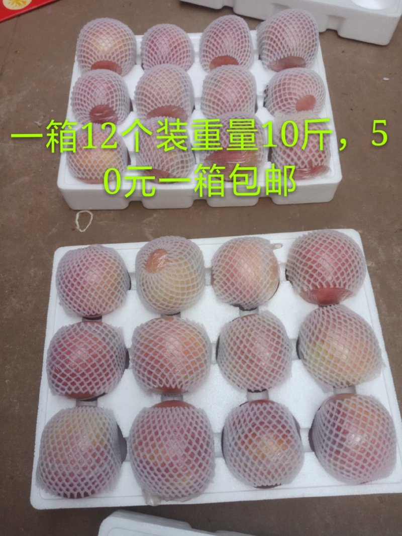 山西临汾红富士冰糖心苹果