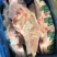 394大羊后腿