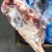 394大羊后腿