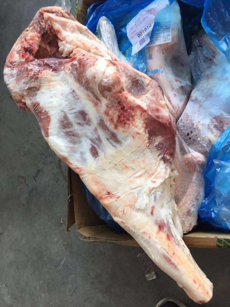 394大羊后腿