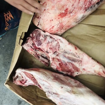 394大羊后腿