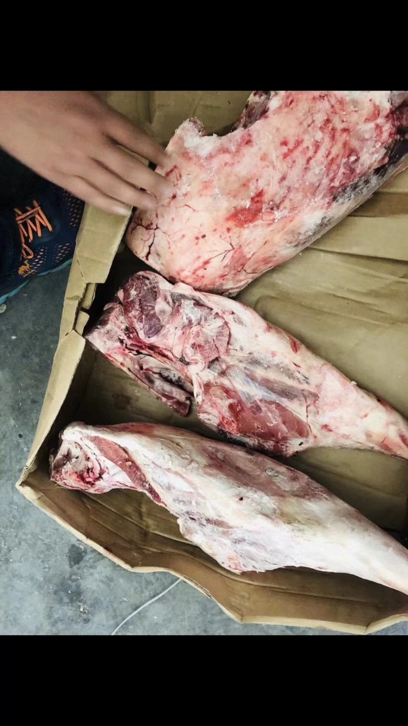394大羊后腿