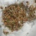 水杉种子，当年水杉种子，发芽率高，90%以上