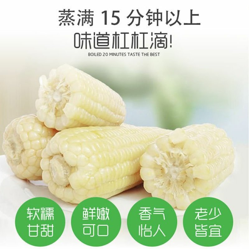 白玉米