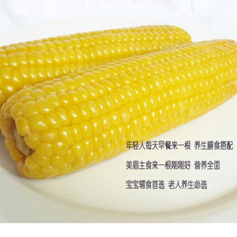 白玉米