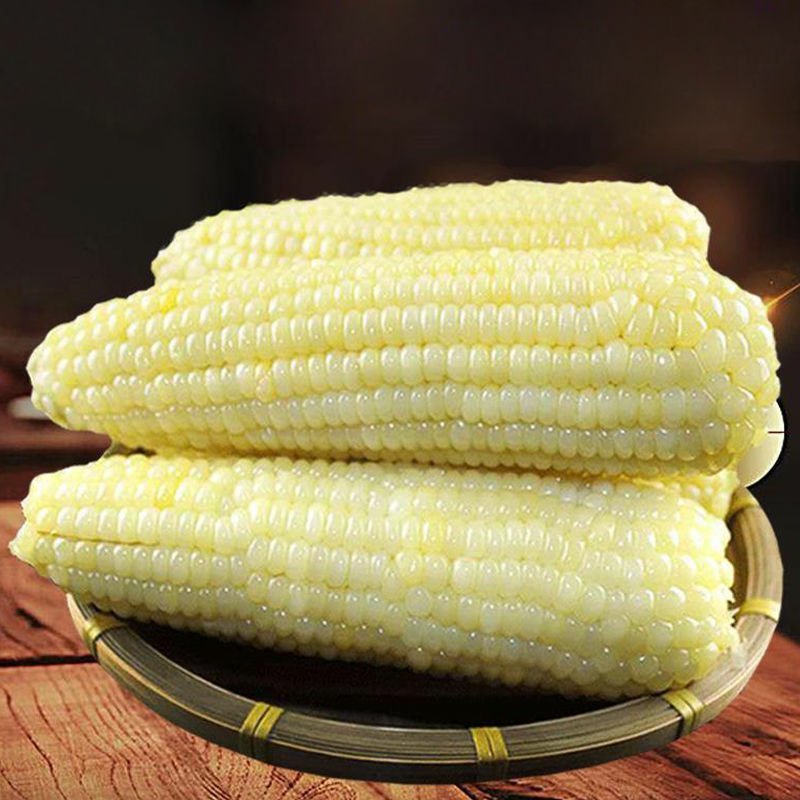白玉米
