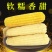 白玉米