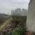 龙泉驿区洪河镇菜园出租