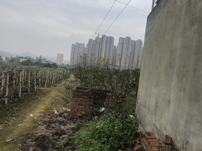 龙泉驿区洪河镇菜园出租