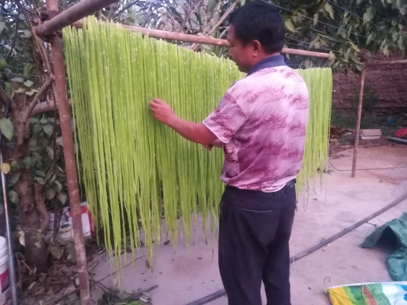 云南大理贡菜一级好货漂亮