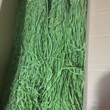 云南大理贡菜一级好货漂亮