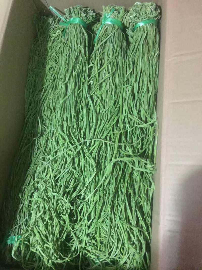 云南大理贡菜一级好货漂亮