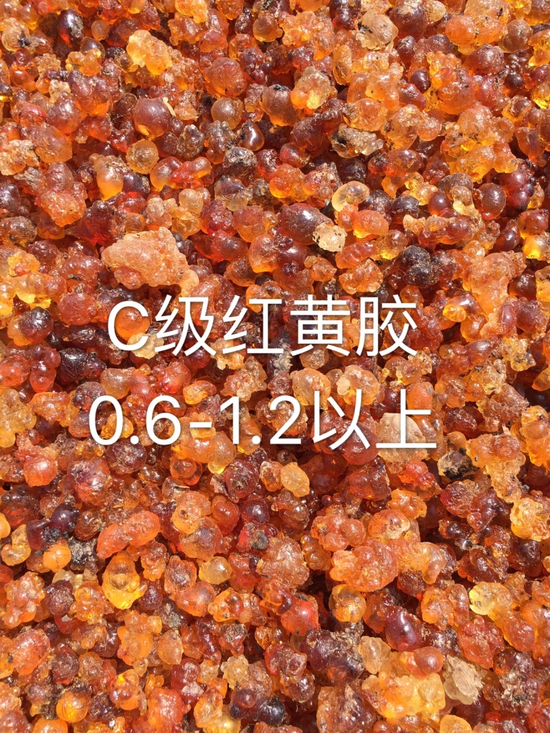 湖北随县桃胶产地纯黄-黄红统货爆米花一手货源大量现货批发